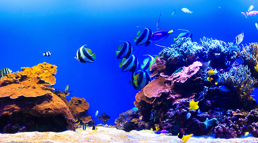 須磨海浜水族園