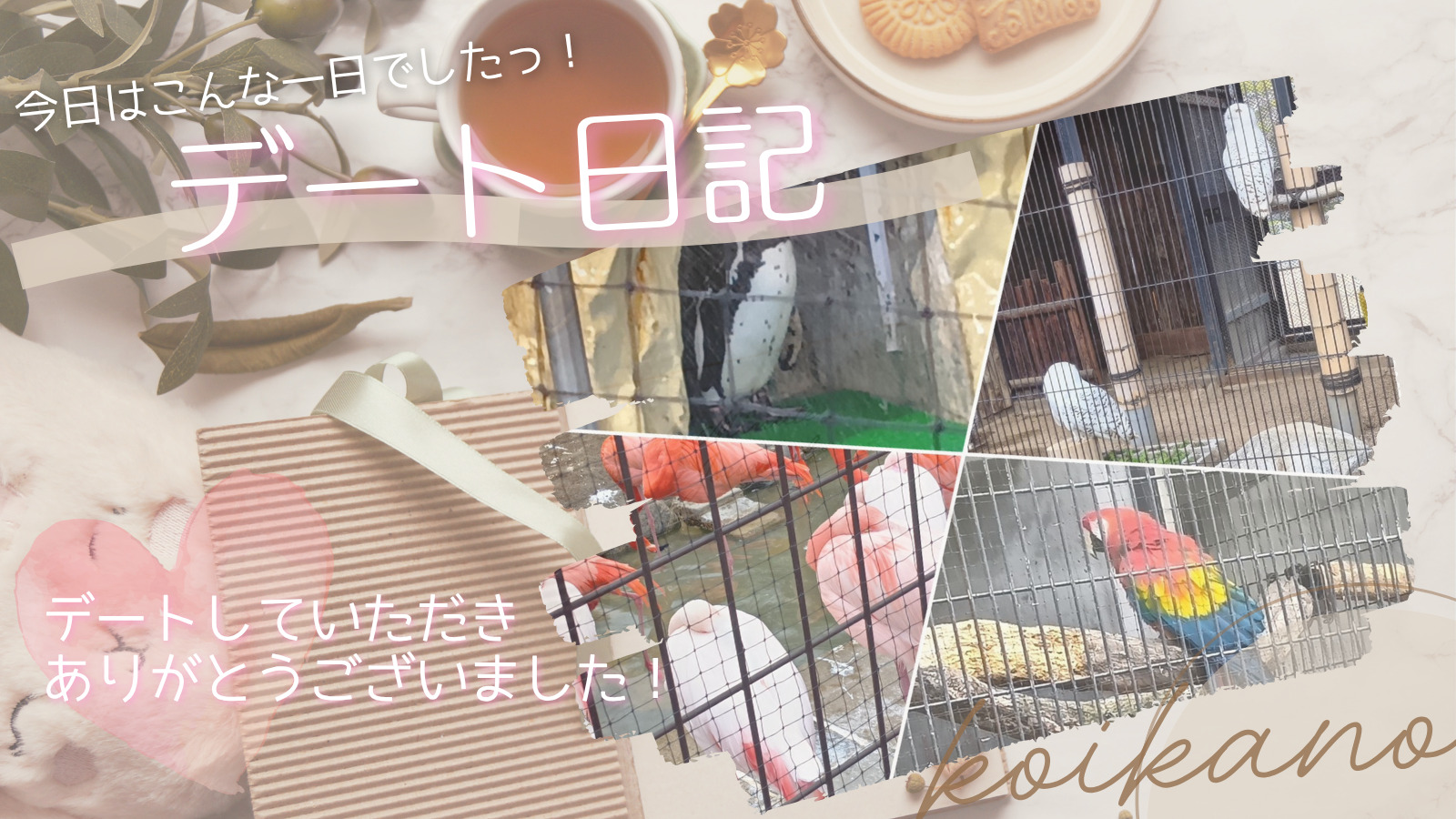 【動物たちに癒される、わくわく動物園デート🐰🐦✨】