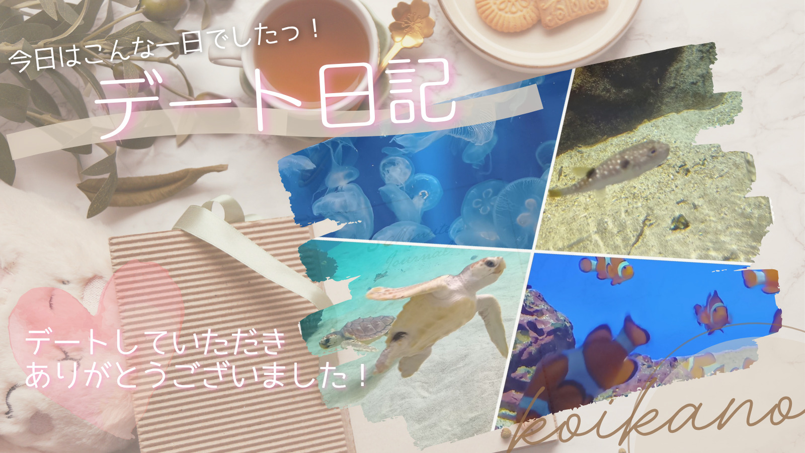 【海の仲間たちと過ごす、わくわく水族館デート🐬✨】