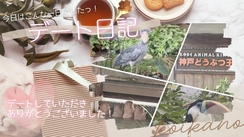 【動物たちに癒される、神戸のんびり動物園&中華デート🐾🌿🥟】